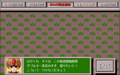 VERSUS ～格闘王への道～