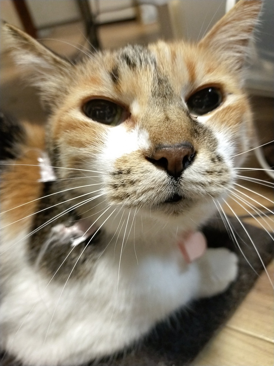 遺影でイエーイ