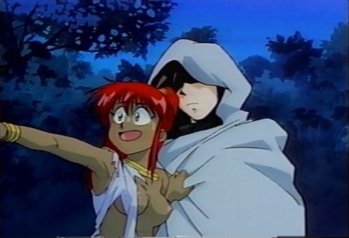 砂漠のガーディアン