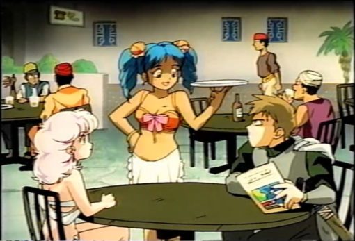 砂漠のガーディアン