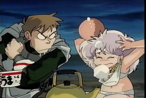 砂漠のガーディアン